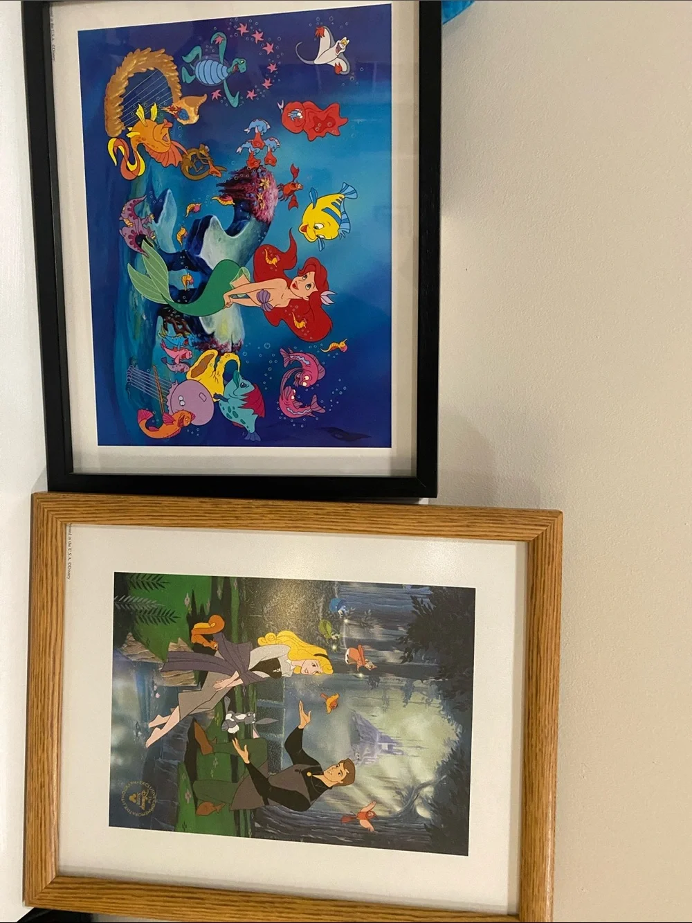 Disney Framed Princess Prints in Blue, Green and Brown